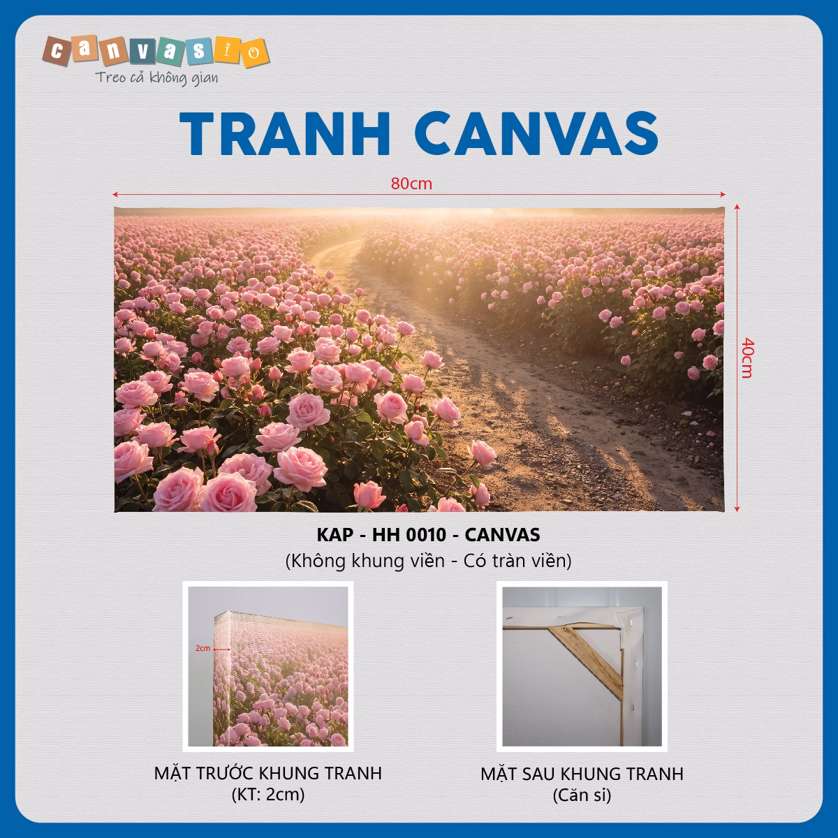 Tranh canvas cánh đồng hoa hồng rực rỡ nắng mai | Mã KAP-HH 0010 Tranh canvas cánh đồng hoa hồng rực rỡ nắng mai | Mã KAP-HH 0010