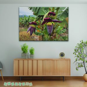 Tranh canvas Hoa chuối rừng Tây Nguyên | Mã số KAP-HL 0021